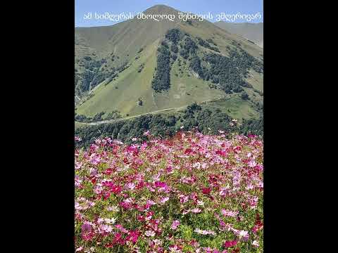 Gogita Godziashvili - გოგიტა გოძიაშვილი - ამ სიმღერას მხოლოდ შენთვის ვმღერივარ